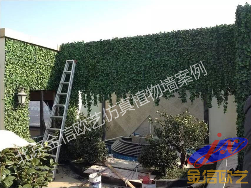 仿真植物墻