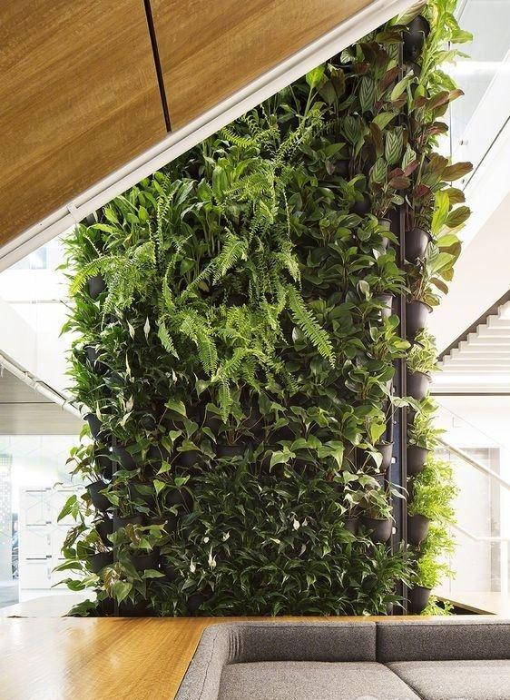 植物墻,室內植物墻,綠植墻