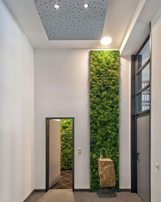 植物墻,綠植墻,室內植物墻,室內綠植墻定制