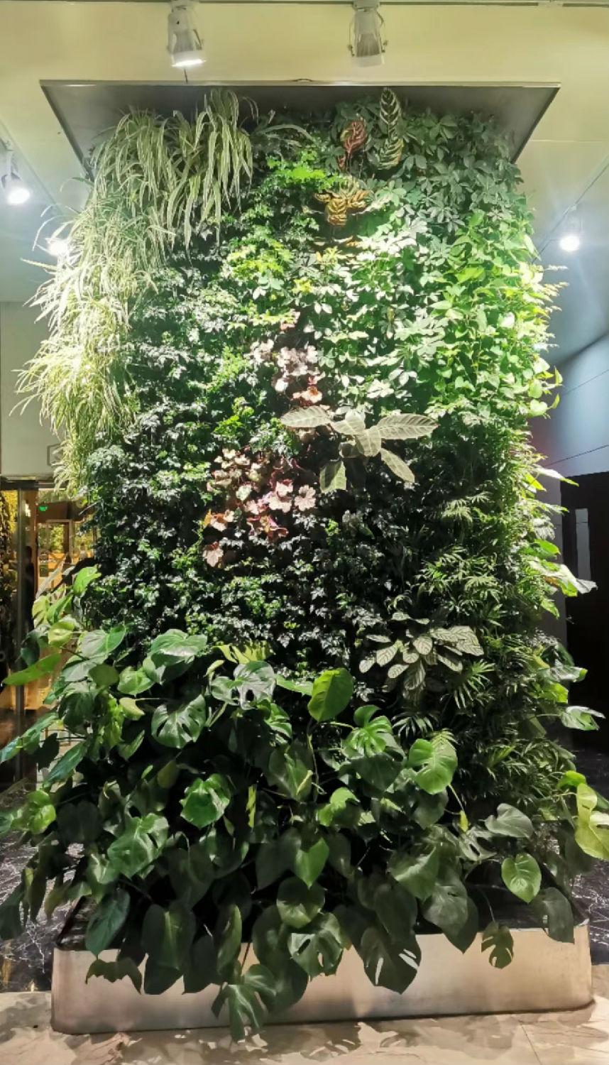 微信圖片_20221003181820.jpg