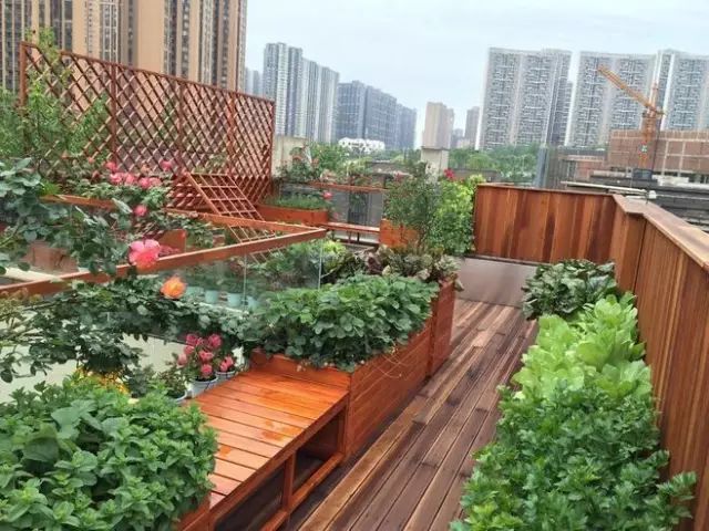 微信圖片_20230523140246.jpg
