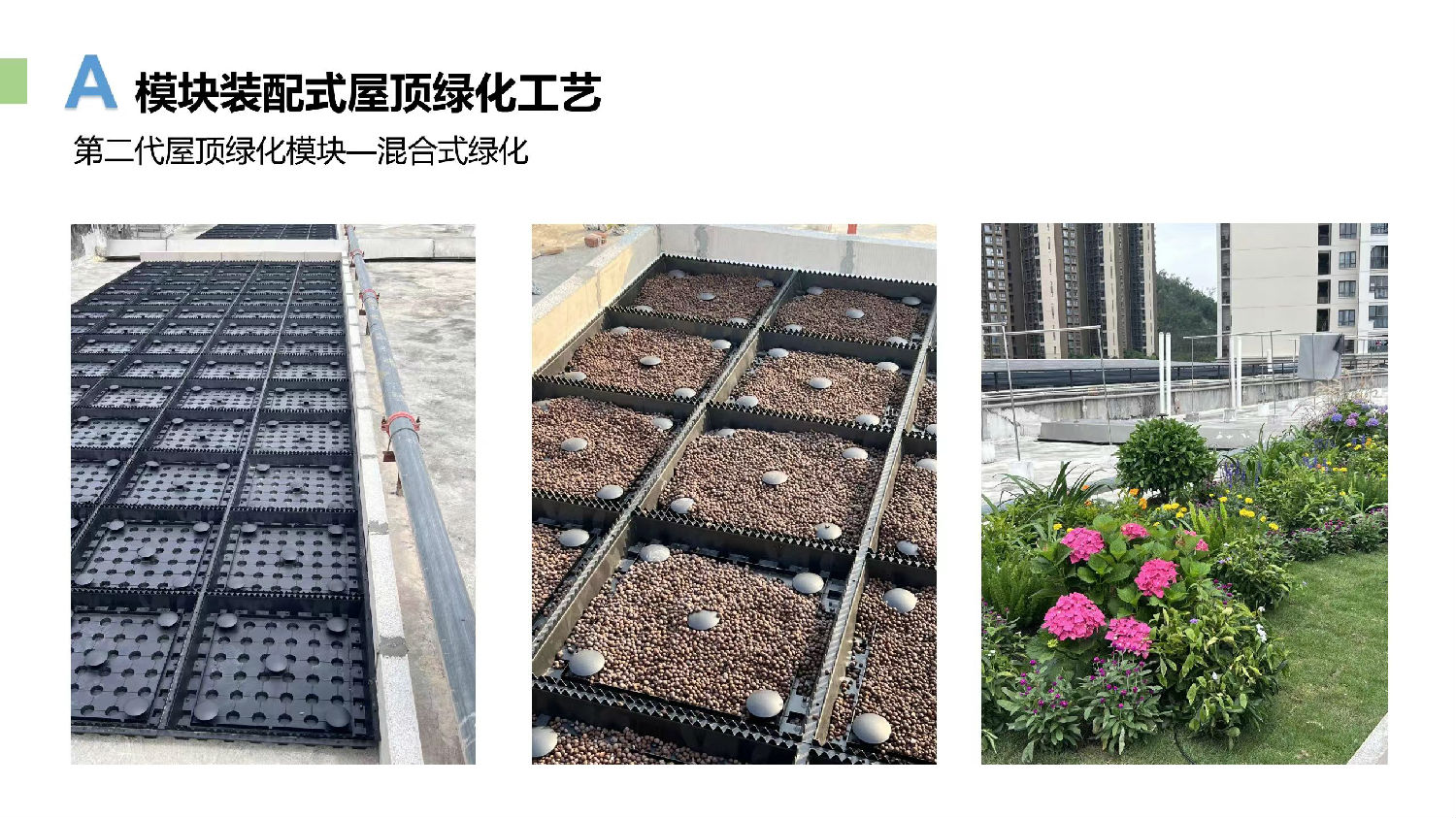 微信圖片_20240709162900.jpg